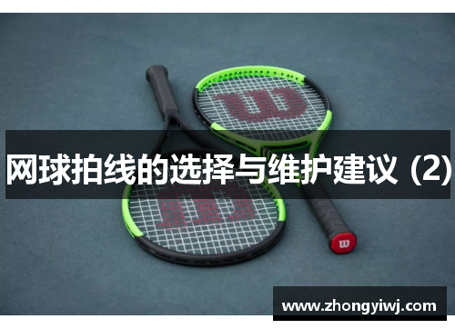 网球拍线的选择与维护建议 (2)