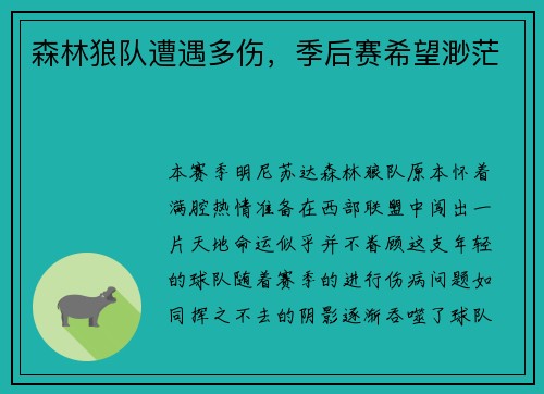 森林狼队遭遇多伤，季后赛希望渺茫